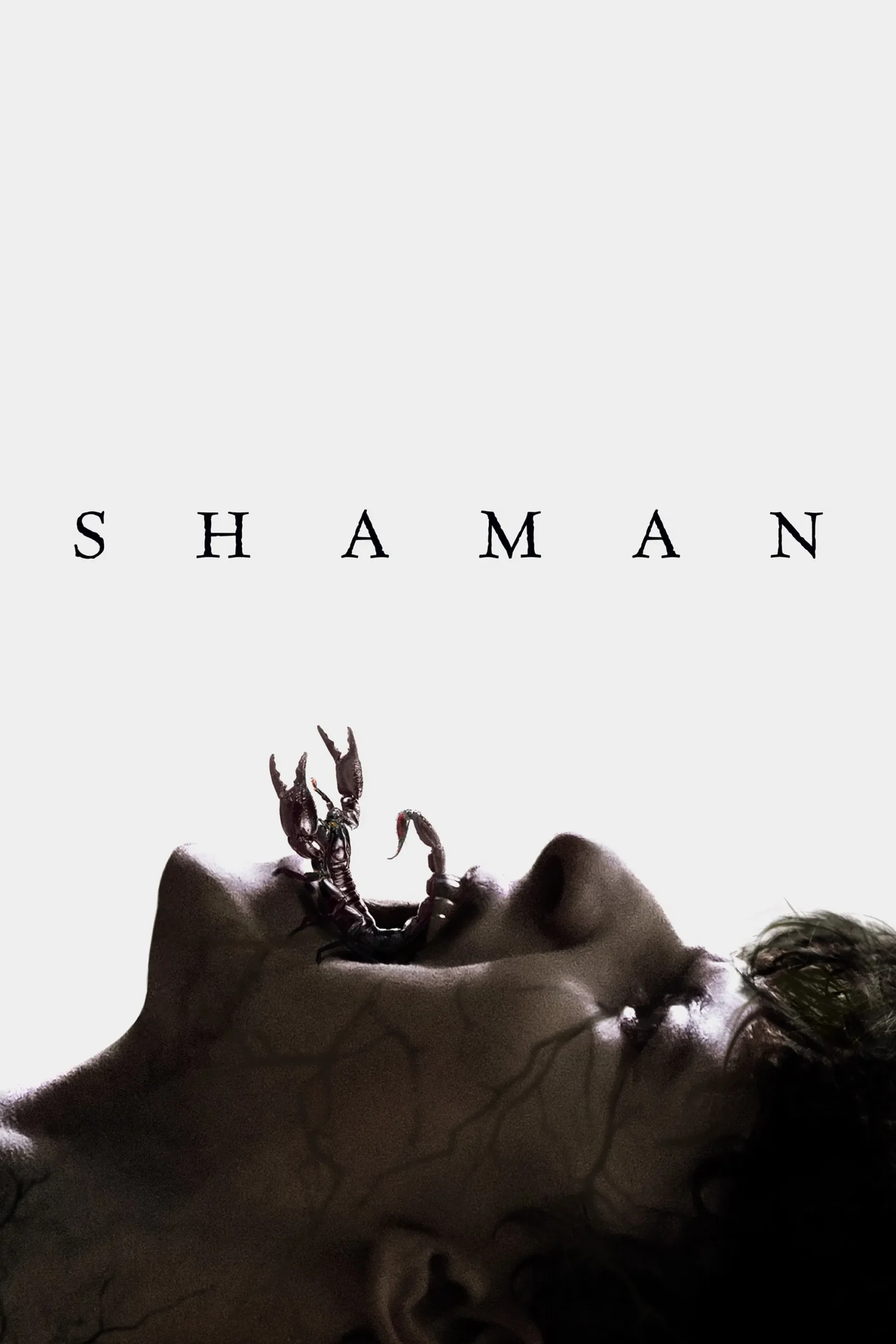شمن (Shaman)