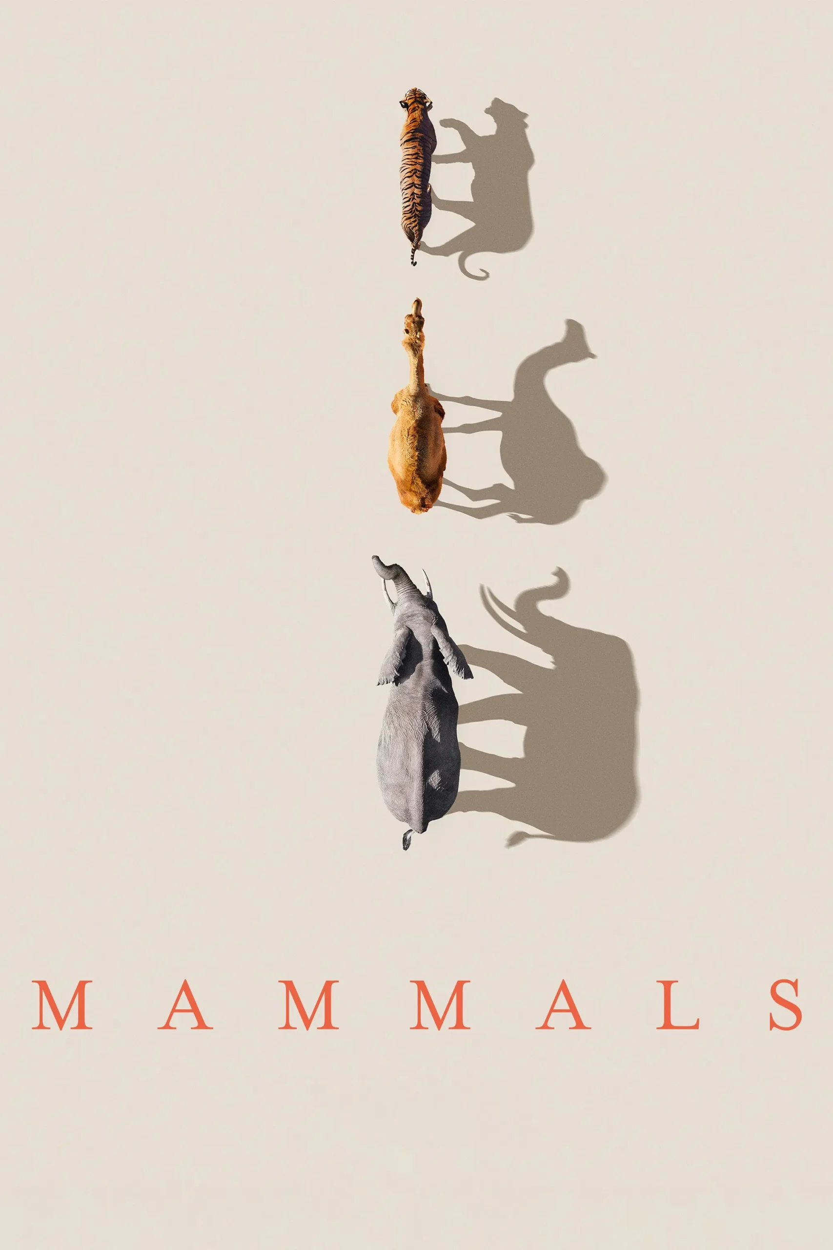 پستانداران (Mammals)