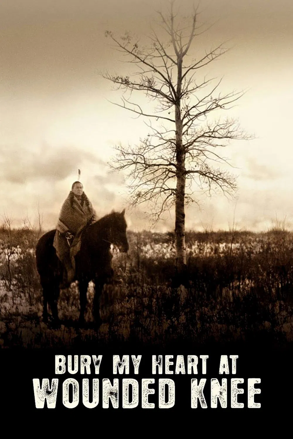 قلبم را در ووندد نی دفن کن (Bury My Heart at Wounded Knee)