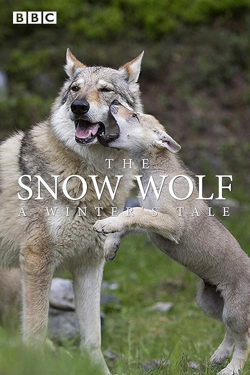 گرگ برفی؛ حکایت یک زمستان (The Snow Wolf: A Winter’s Tale)